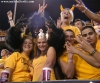 Filename=7.jpg
Filesize=121KB
Dimensions=741x617
Date added=Oct 28, 2007 7.jpg